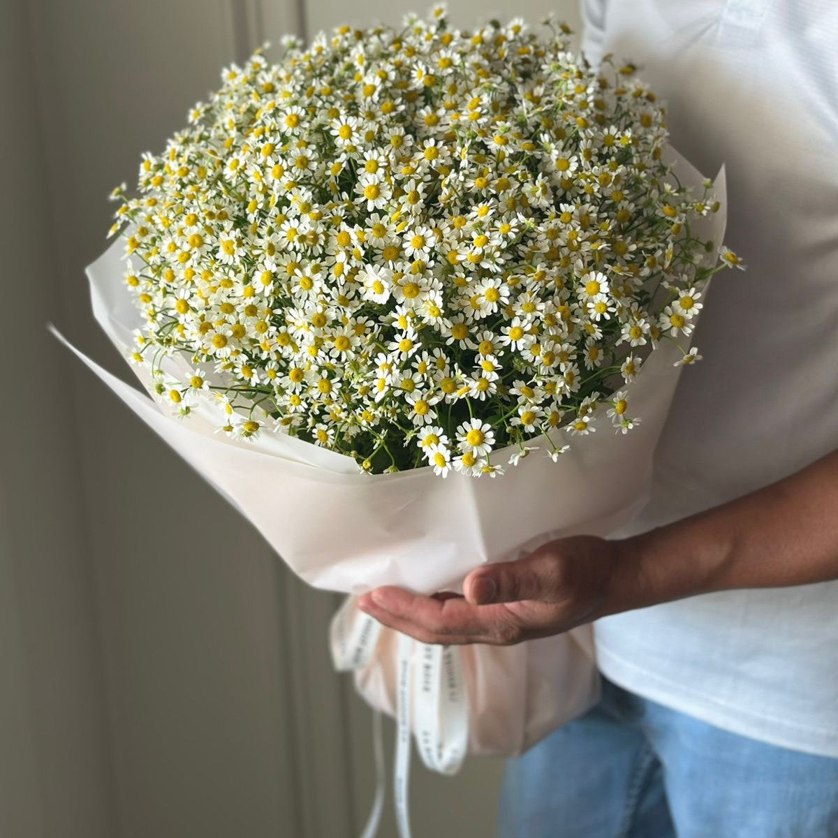 My Chamomile