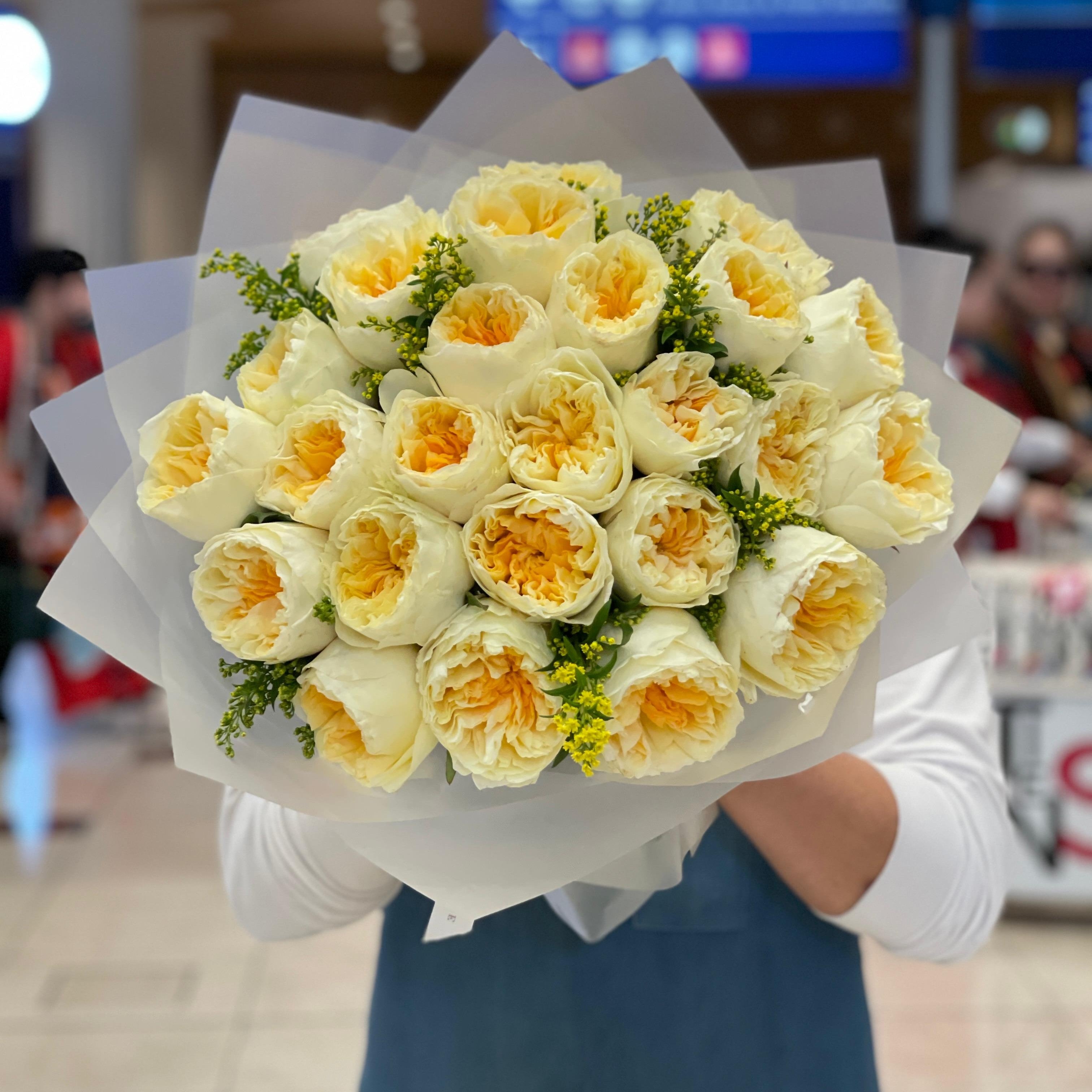 Yellow Garden Rose