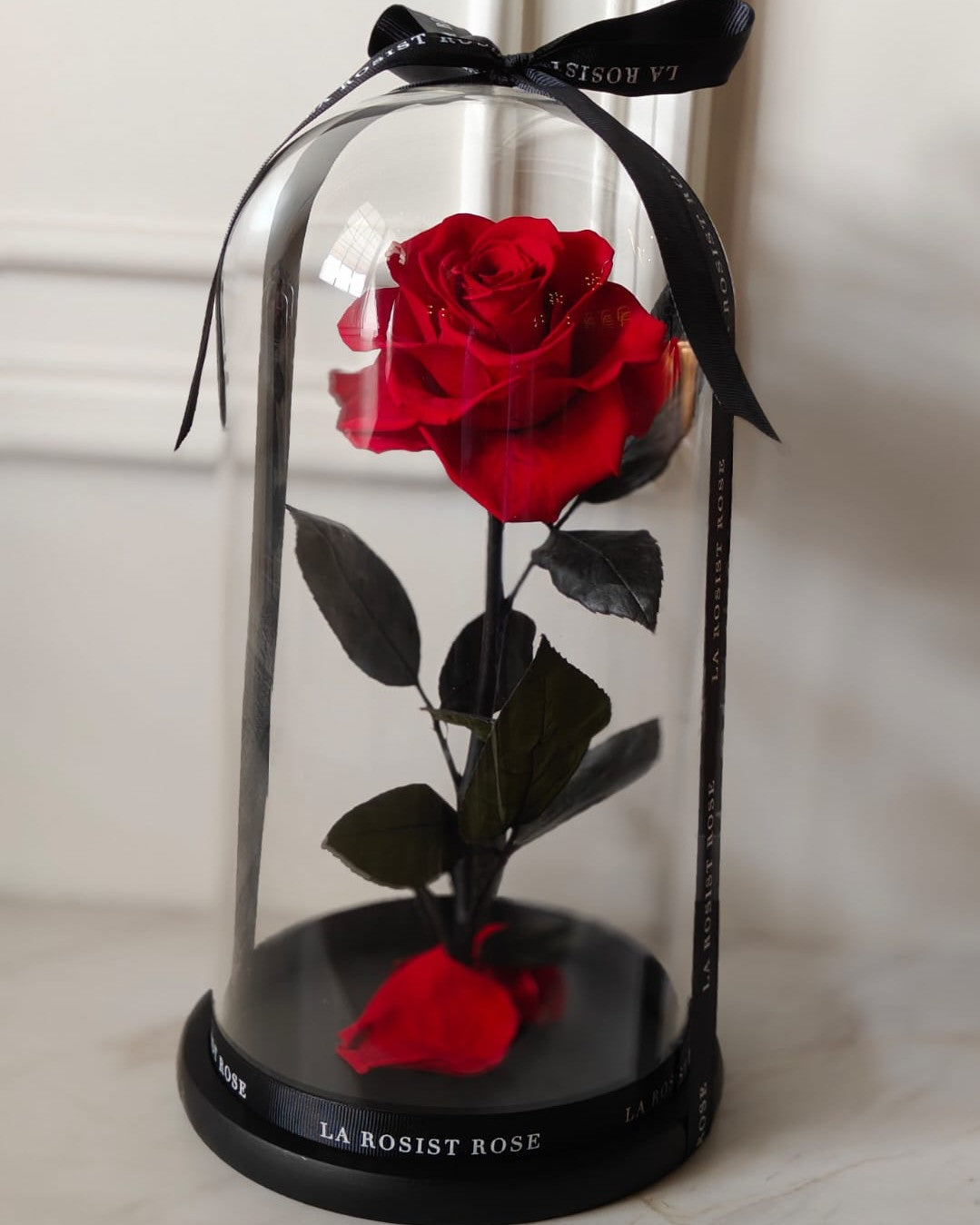 1 Head Infinity Rose Dome /Size4