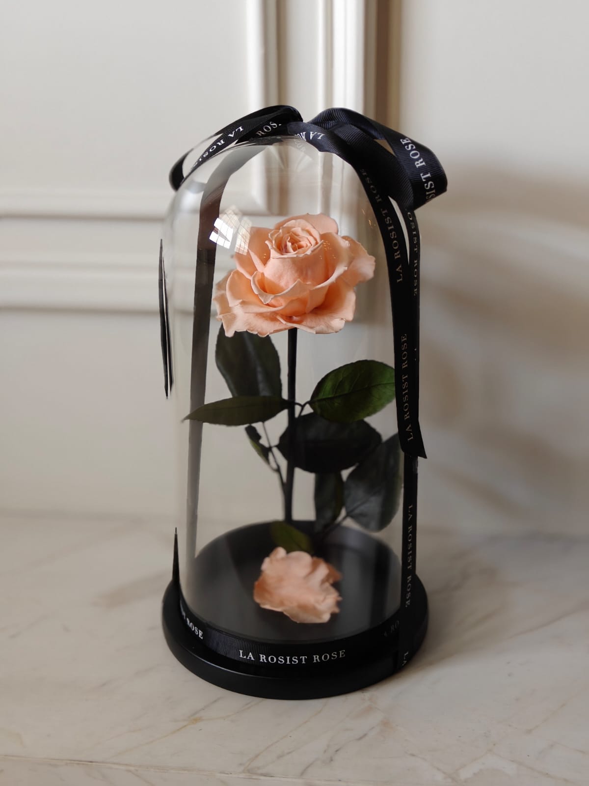 1 Head Infinity Rose Dome/Size4