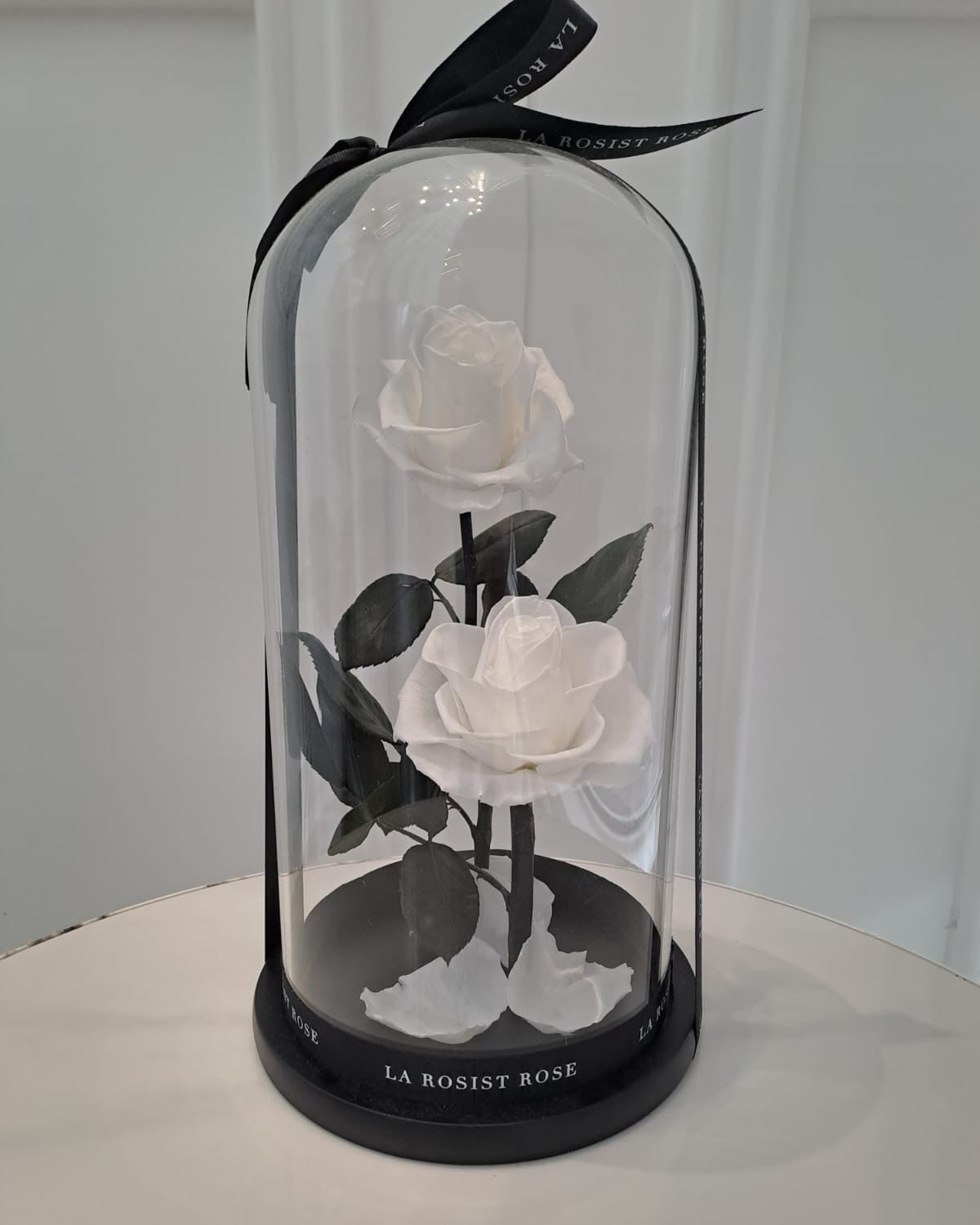 2 Head Infinity Rose Dome/Size4