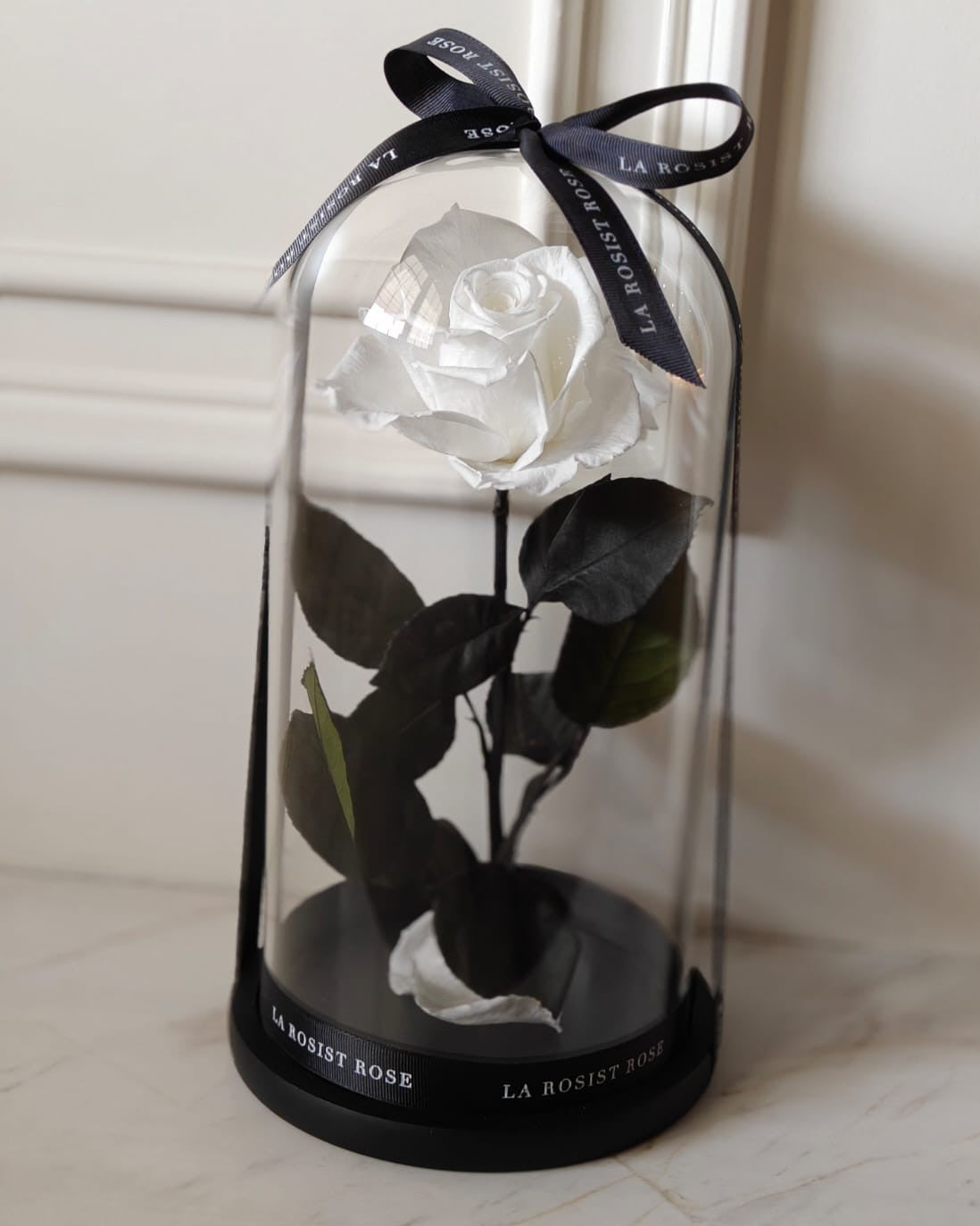 1 Head Infinity Rose Dome/Size4