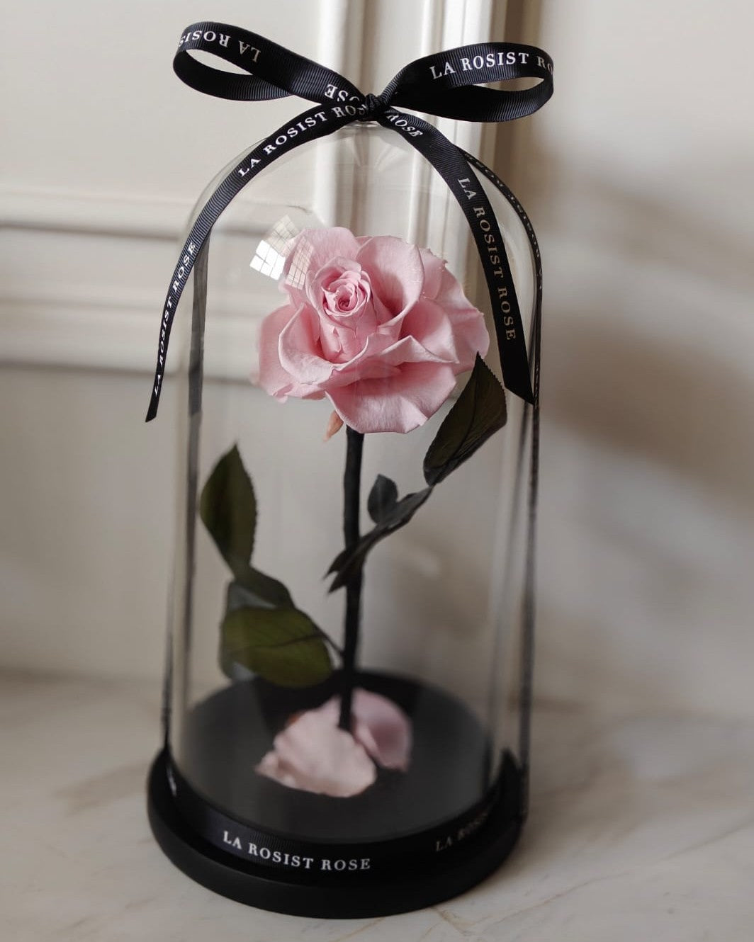 1 Head Infinity Rose Dome/Size4