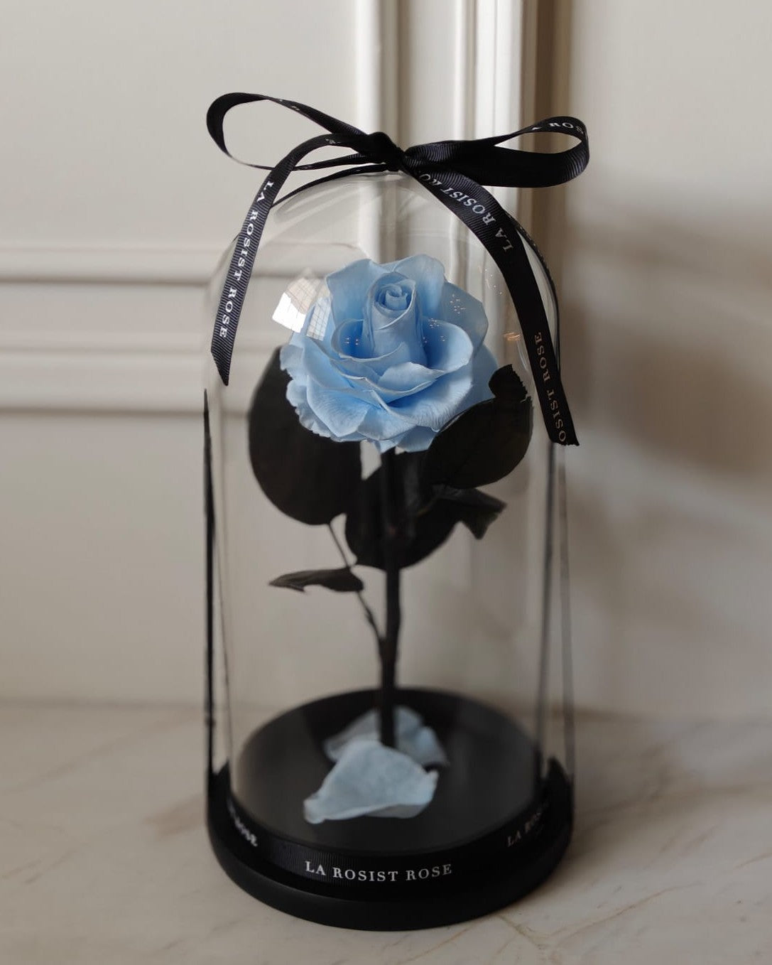 1 Head Infinity Rose Dome /size4